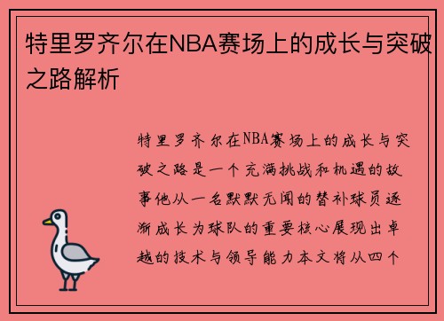 特里罗齐尔在NBA赛场上的成长与突破之路解析